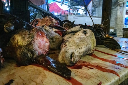 Heads of butchered goats and sheep at the meat market inside New Market, Kolkata, India, 2022