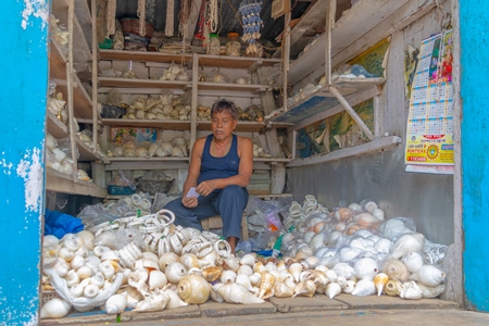 Indian man with shop selling many sea shells  in Guwahati in Assam in India