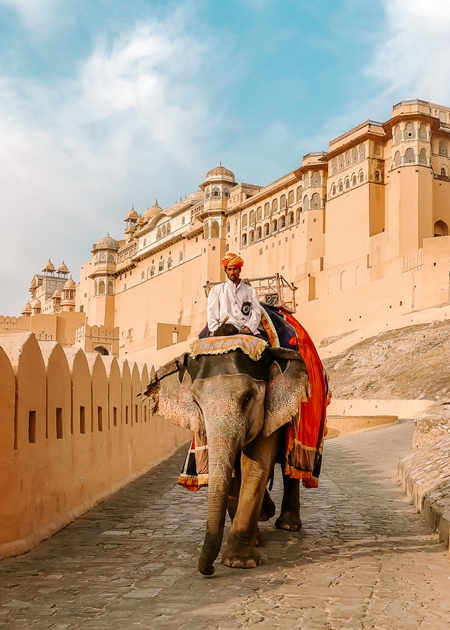 Elephant used for tourist animal rides at Amber fort and Palace near Jaipur, Rajasthan, India