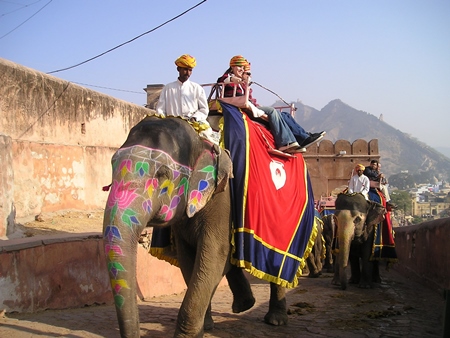Tourists riding decorated elephants at Amber Fort