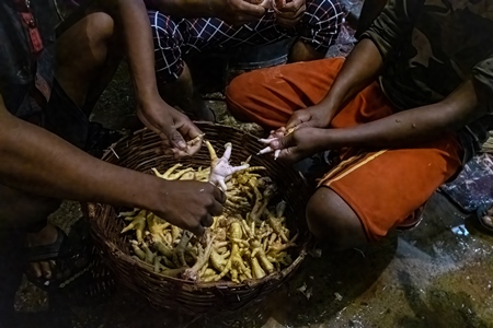 Workers with chicken feet at the chicken meat market inside New Market, Kolkata, India, 2022