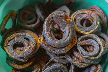 Dried snakes on sale at an animal market in Dimapur, Nagaland in the Northeast of India