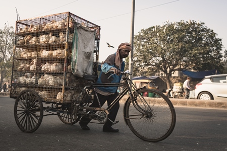 Man pushing a tricycle chicken cart with Indian broiler chickens in cages at Ghazipur murga mandi, Ghazipur, Delhi, India, 2022
