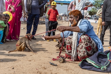 Man with dancing monkeys begging for money at Pushkar camel fair