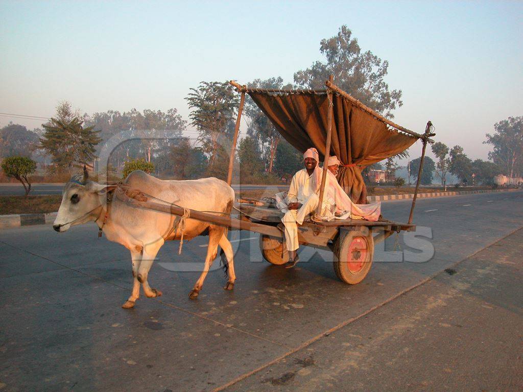 Bullock pulling cart with man along road