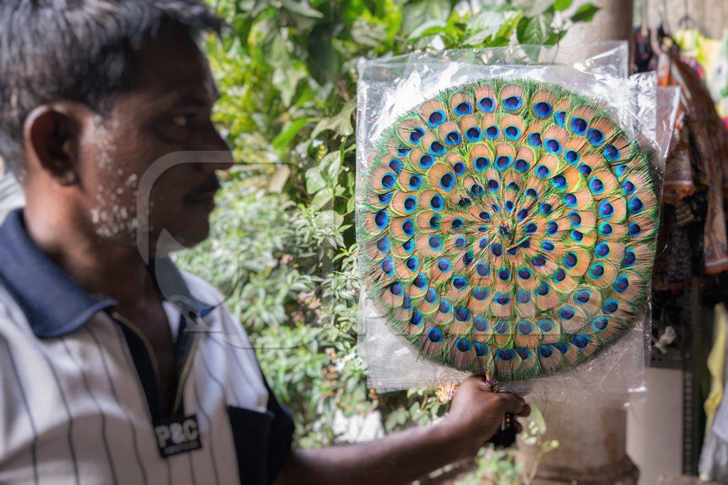 Man holding green peacock feather fans on sale in street