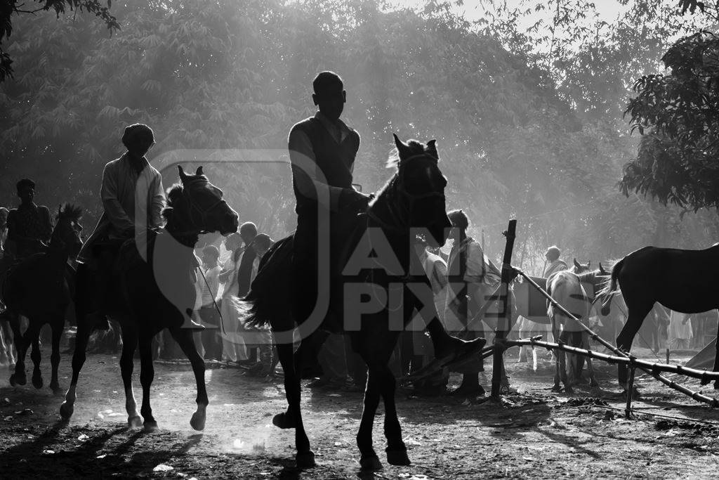 Horse in a horse race at Sonepur cattle fair with spectators watching in black and white