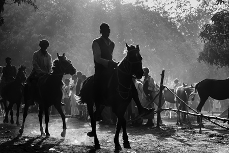 Horse in a horse race at Sonepur cattle fair with spectators watching in black and white