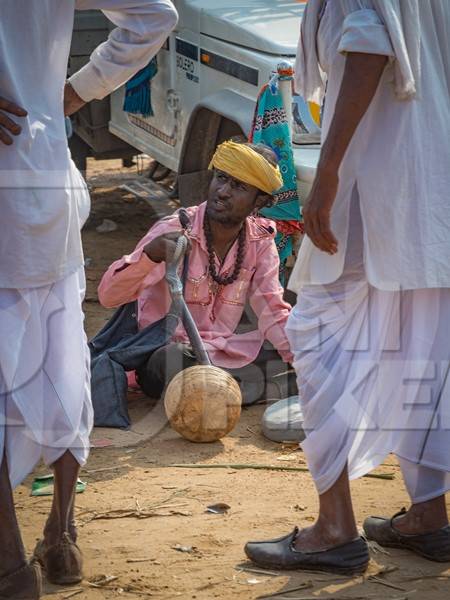 Indian snake charmer with cobra snake in basket illegally begging for money for entertainment at Pushkar camel fair or mela in Rajasthan, India, 2019