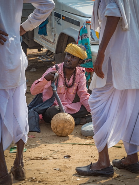 Indian snake charmer with cobra snake in basket illegally begging for money for entertainment at Pushkar camel fair or mela in Rajasthan, India, 2019