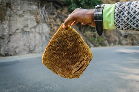 Pieces of yellow honeycomb with dead honey bees visible on sale on the side of the road