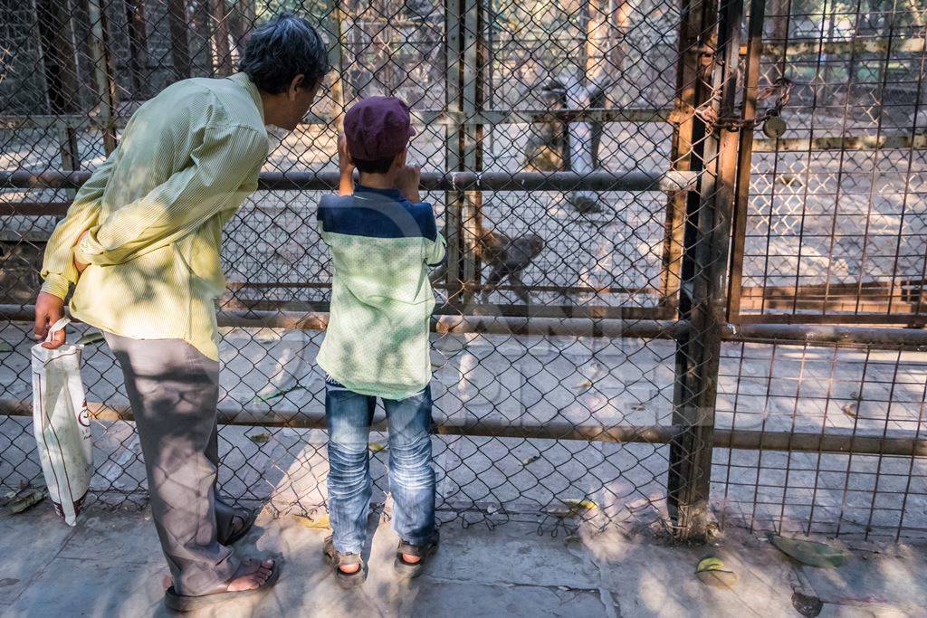 Visitors watching monkeys through the bars in Byculla zoo