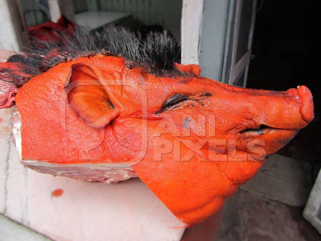 Orange dyed boar head on sale at a meat shop or market in Nepal