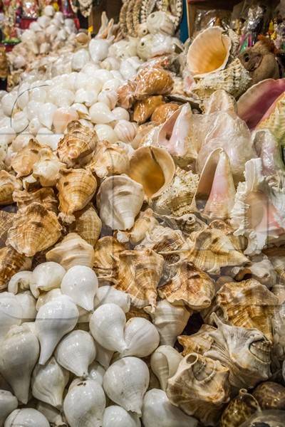 Marine shells for sale in shop in tourist beach resort in Goa, India