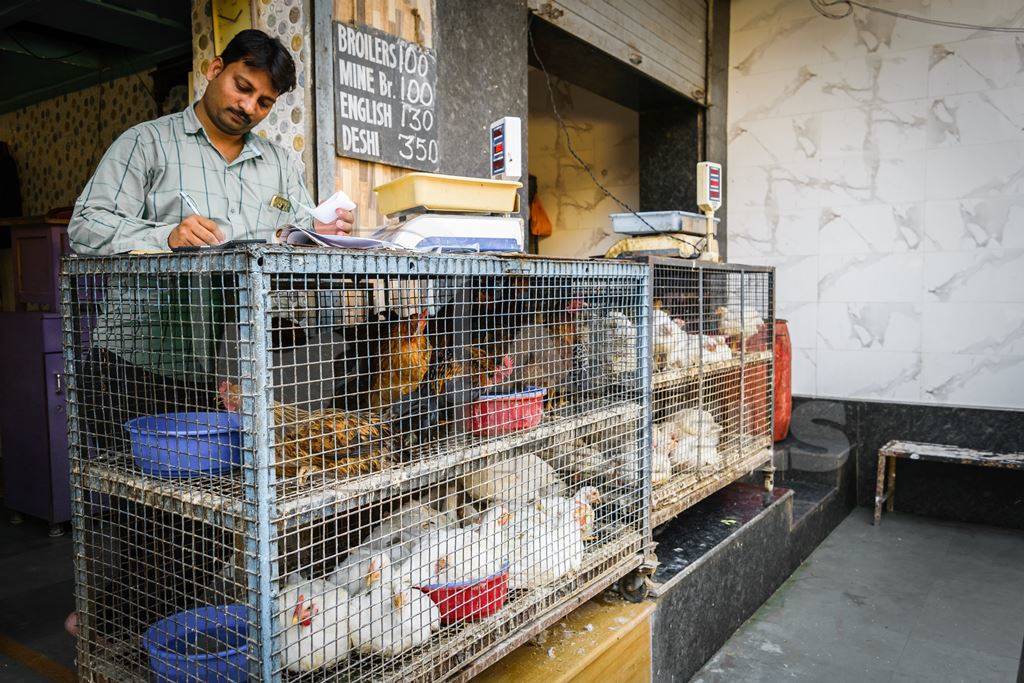 Man with cages of different breed of chickens on sale at Crawford market