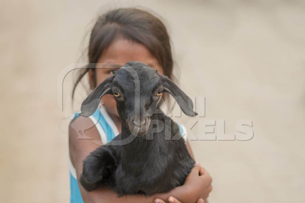 Indian girl holding cute baby goat in village in rural Bihar