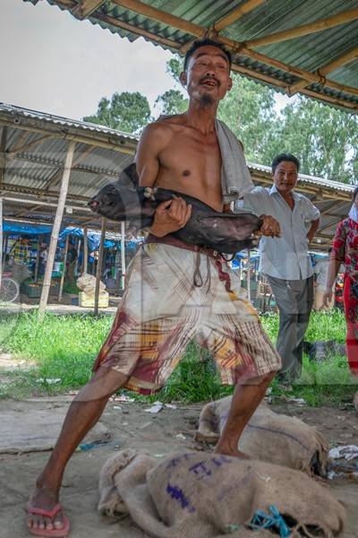 People holding pigs for sale for meat at the weekly animal market