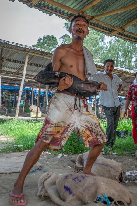 People holding pigs for sale for meat at the weekly animal market