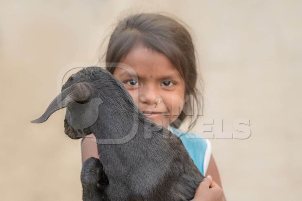 Indian girl holding cute baby goat in village in rural Bihar