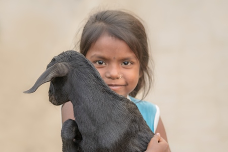 Indian girl holding cute baby goat in village in rural Bihar