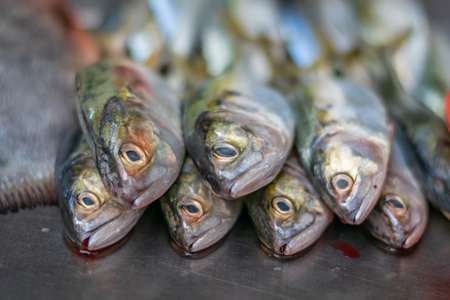 Fish on sale at a stall in an urban city