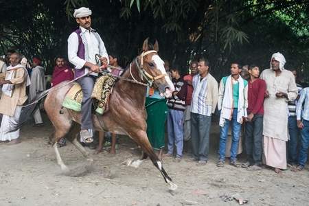 Man riding brown and white horse in a horse race at Sonepur cattle fair with spectators watching