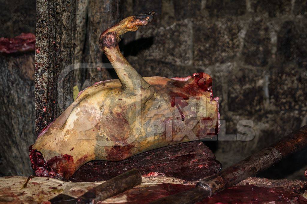 Dead dog being cut up at a dog meat market in Kohima in Nagaland, India, 2018