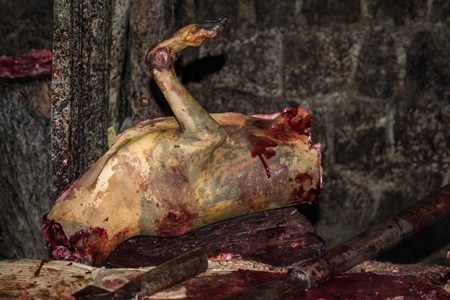 Dead dog being cut up at a dog meat market in Kohima in Nagaland, India, 2018
