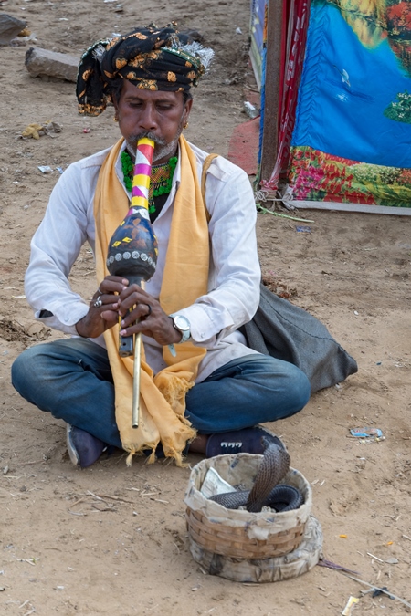 Snake charmer man with cobra snake in basket and pungi instrument begging for money at Pushkar camel fair, India, 2019