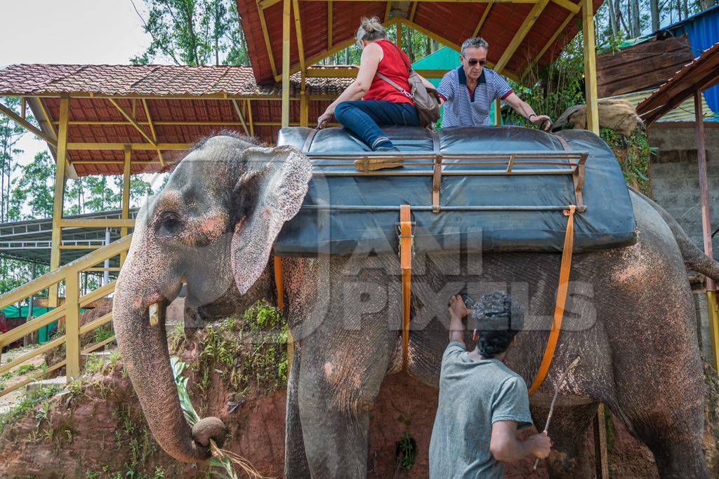 Tourists mounting an elephant used for tourist rides in the hills of Munnar in Kerala