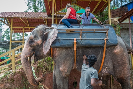 Tourists mounting an elephant used for tourist rides in the hills of Munnar in Kerala