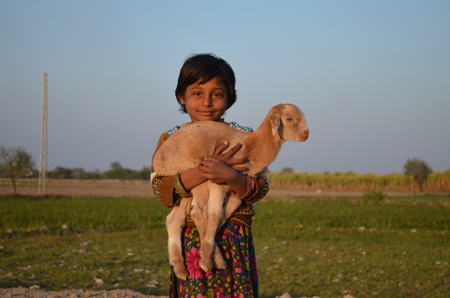 Girl holding baby goat in sunshine with field in background