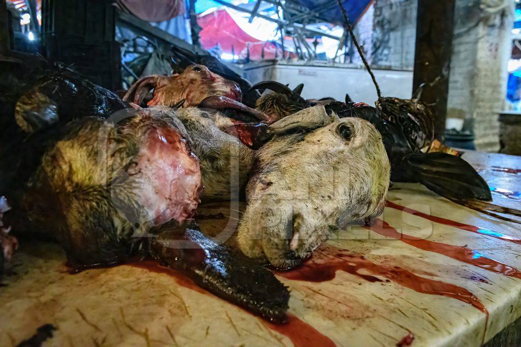 Heads of butchered goats and sheep at the meat market inside New Market, Kolkata, India, 2022