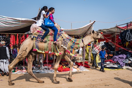 Tourists sitting on decorated and colourful Indian camel used for tourist camel ride at Pushkar camel fair in Rajasthan, India, 2019
