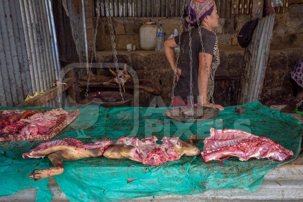 Body of a dead Indian dog slaughtered for meat at a dog meat market in Kohima, Nagaland, in the Northeast of India, 2018