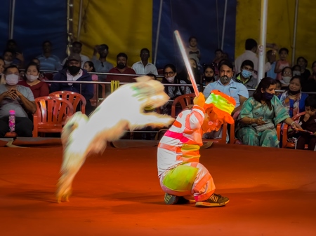 Performing dog jumping through hoop with clown at a show by Rambo Circus in Pune, Maharashtra, India, 2021