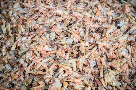 Large pile of shrimp on sale at a fish market at Sassoon Docks