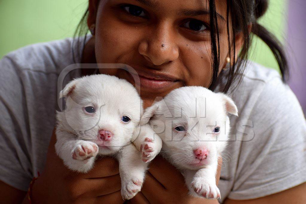 Girl holding cute small white puppies