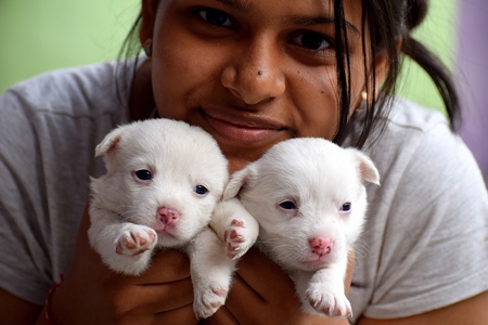 Girl holding cute small white puppies
