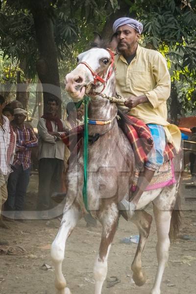 Man riding brown and white horse in a horse race at Sonepur cattle fair with spectators watching