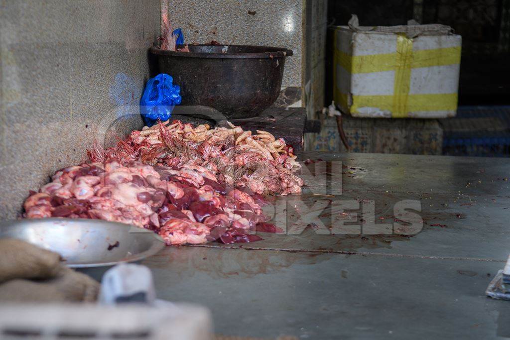 A pile of chicken offal, feathers and chicken feet in the corner of a chicken meat shop, Ajmer, Rajasthan, India