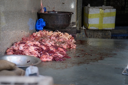 A pile of chicken offal, feathers and chicken feet in the corner of a chicken meat shop, Ajmer, Rajasthan, India