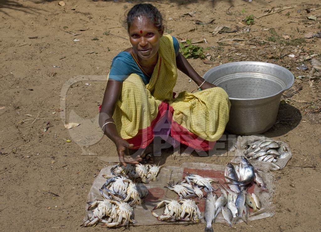 Indian woman with crabs and fish laid out on the ground on sale