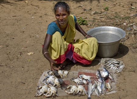 Indian woman with crabs and fish laid out on the ground on sale