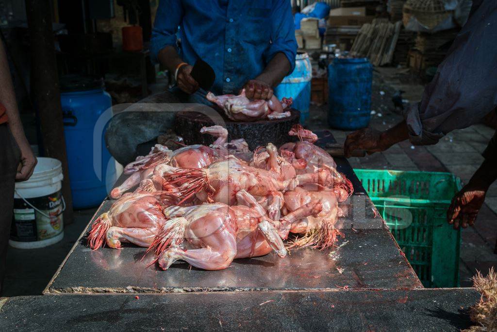 Workers ripping feathers off Indian broiler chickens in unhygienic dirty conditions at Crawford meat market, Mumbai, India, 2016