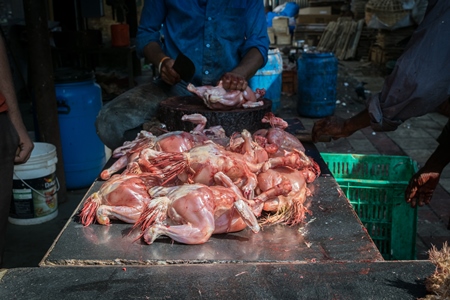 Workers ripping feathers off Indian broiler chickens in unhygienic dirty conditions at Crawford meat market, Mumbai, India, 2016