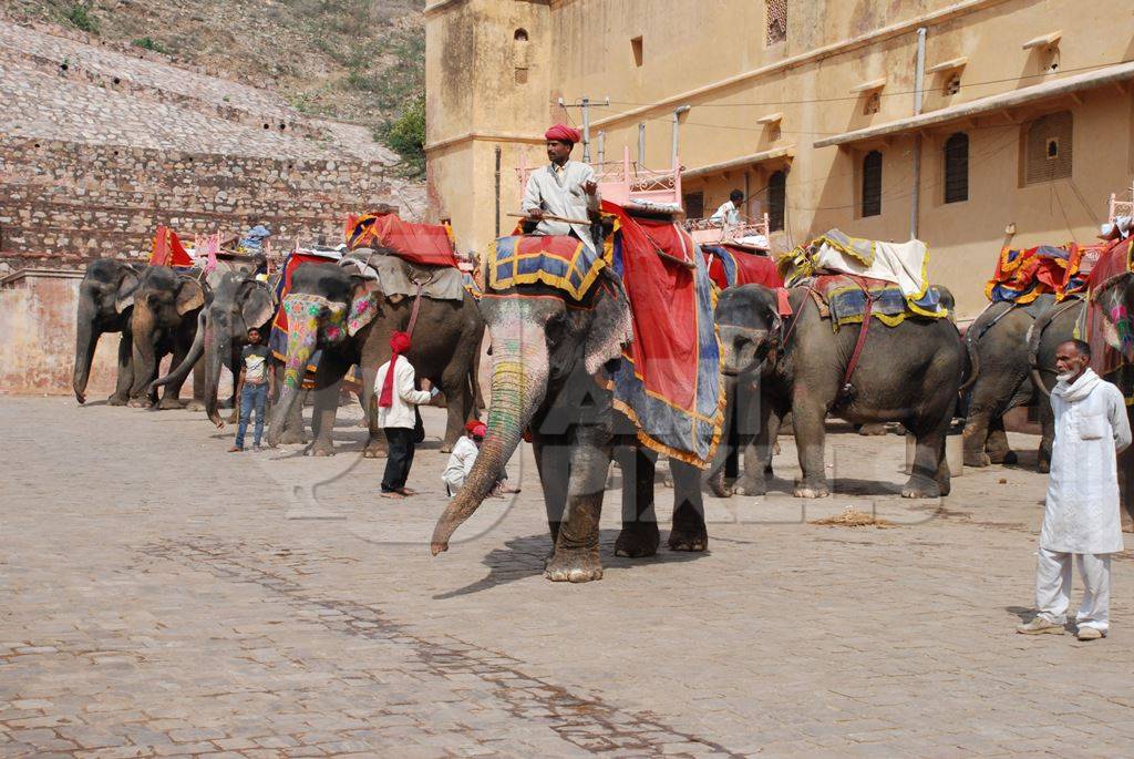 Men sitting on many decorated elephants at Amber Fort