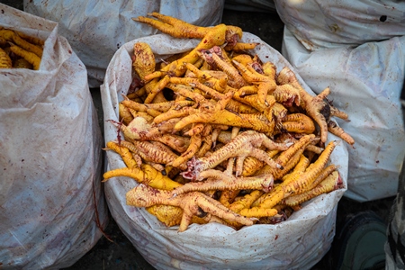 Plastic bags of legs of Indian broiler chickens on sale at Ghazipur murga mandi, Ghazipur, Delhi, India, 2022