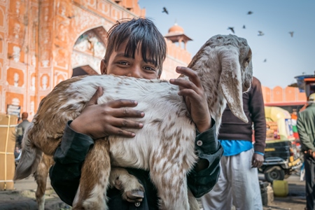 Boy holding small cute baby goat in the city of Jaipur with orange background
