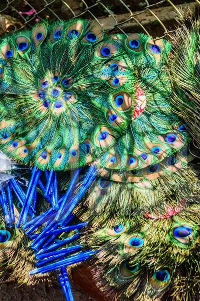 Fans made out of peacock feathers on sale in Kerala